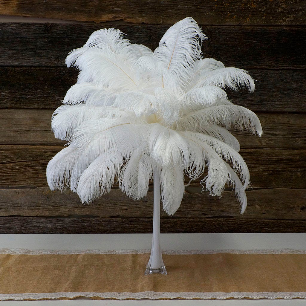 Large Ostrich Feathers - 17"+ Drabs - White