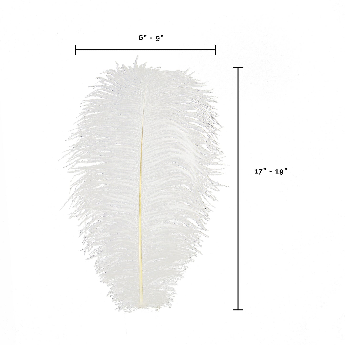 Large Ostrich Feathers - 17"+ Drabs - White