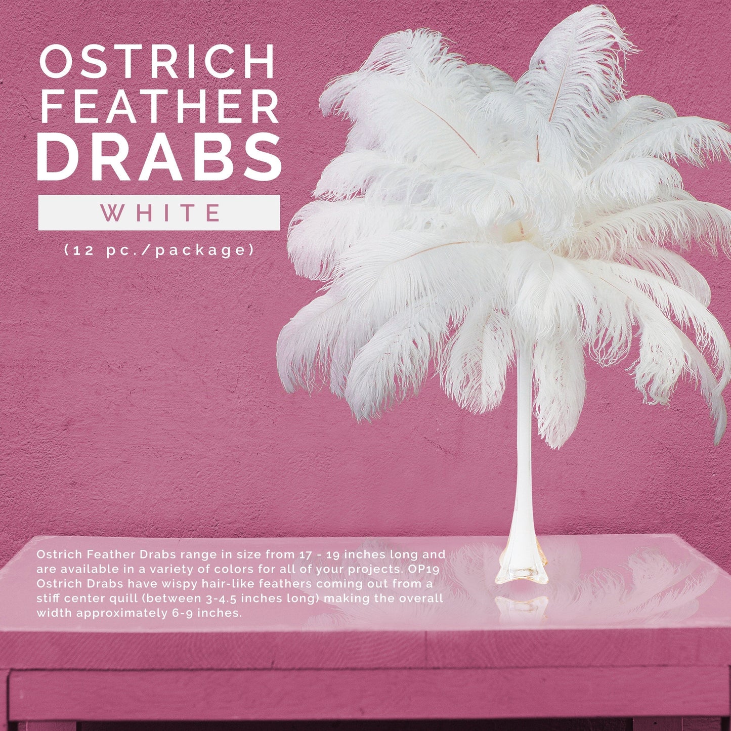 Large Ostrich Feathers - 17"+ Drabs - White