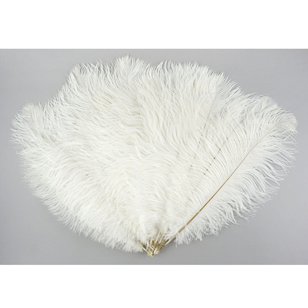 Ostrich Feathers 13-16" Drabs - White