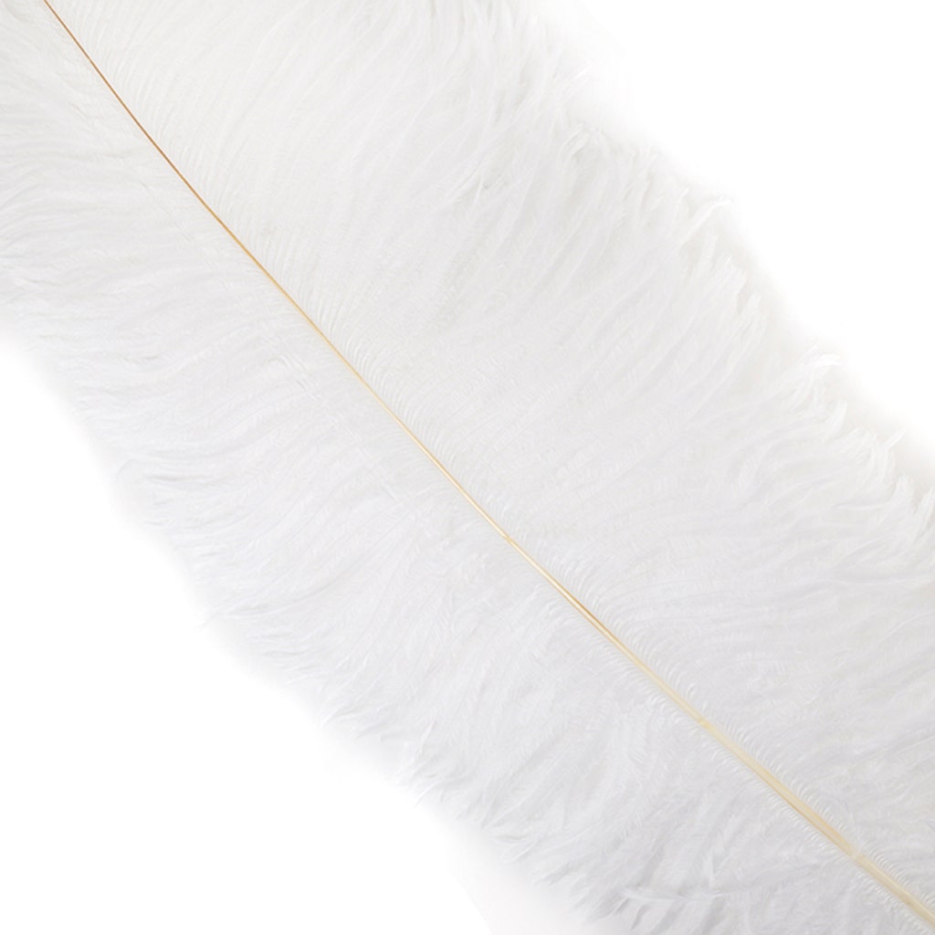 Large Ostrich Feathers - 18-24" Spads - White