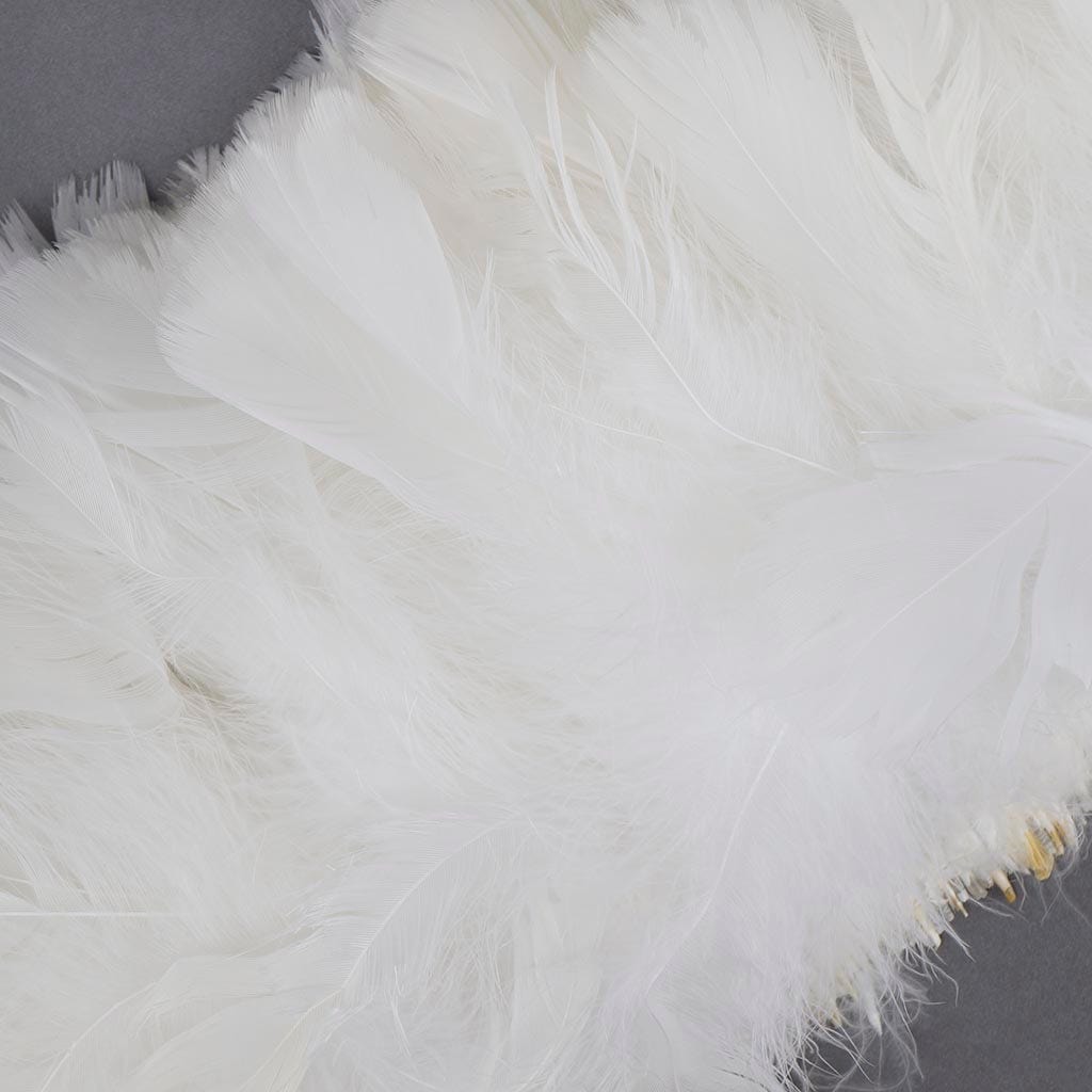 Parried Turkey Ruff Feathers- 1/2YD - White