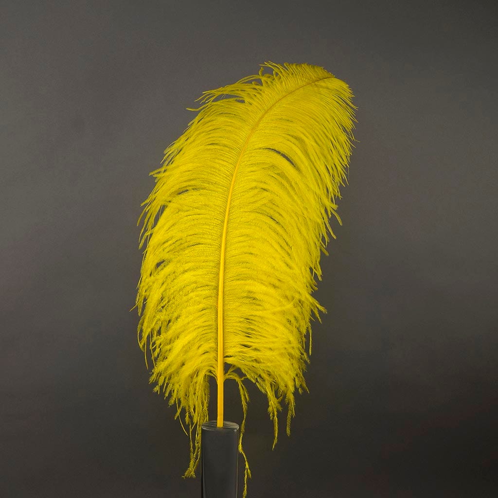 Large Ostrich Feathers - 24-30" Prime Femina Plumes - Yellow