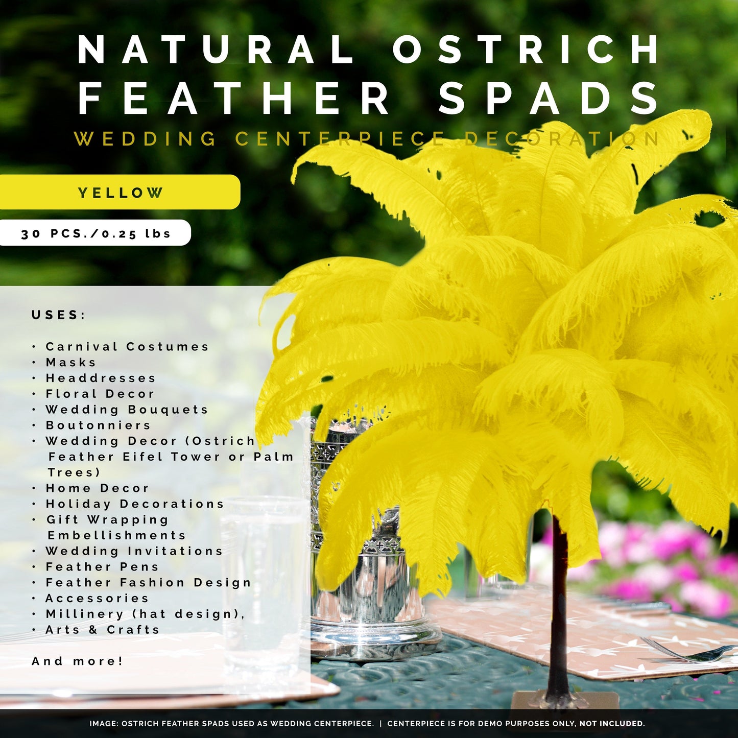 Large Ostrich Feathers - 18-24" Spads - Yellow