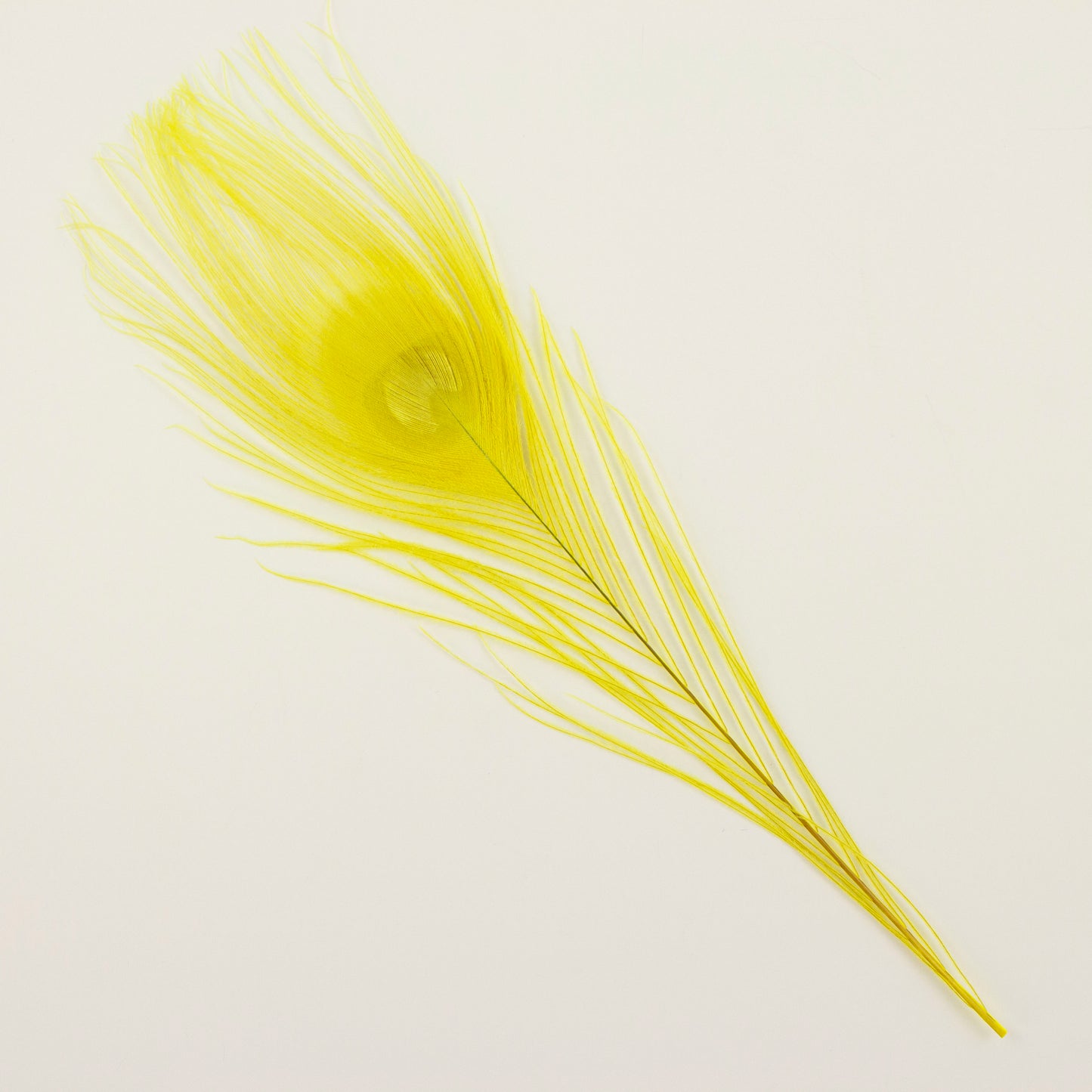 Peacock Feathers | 8-15" Tail Eyes | Fluorescent Yellow (Bulk)