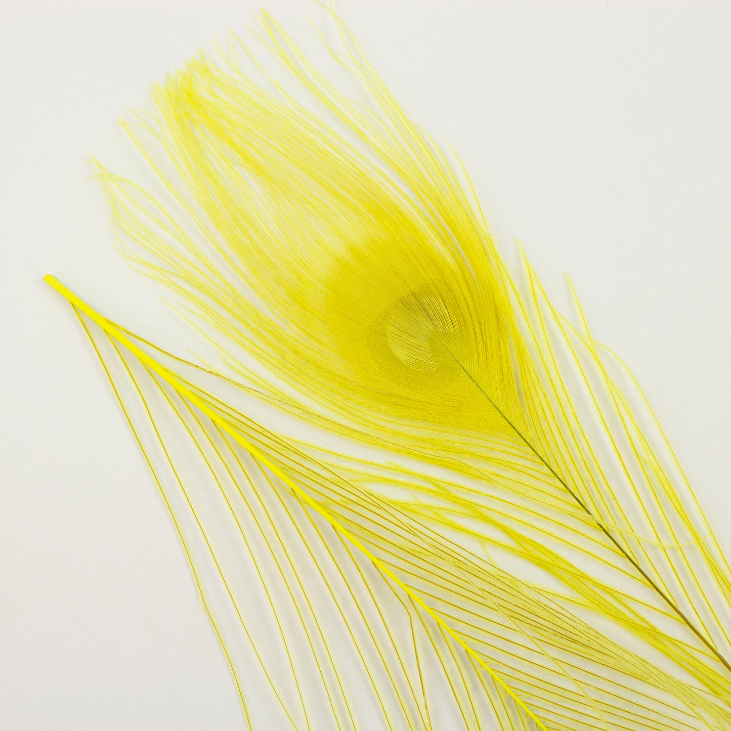 Peacock Feathers | 8-15" Tail Eyes | Fluorescent Yellow (Bulk)