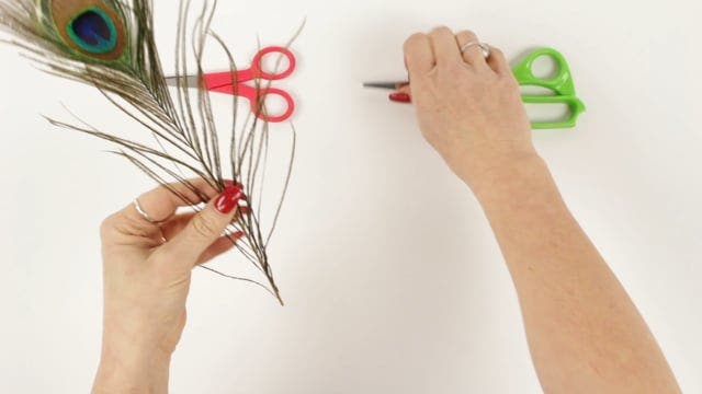 Peacock Swords Bleach Dyed - Lime