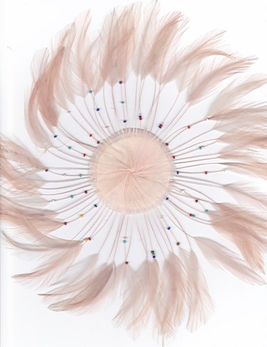 Feather Hackle Plates Solid Colors - Shrimp