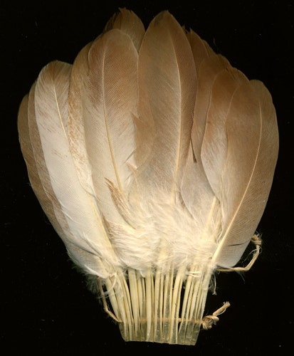 Pigeon Cosse Fan Trim - Natural