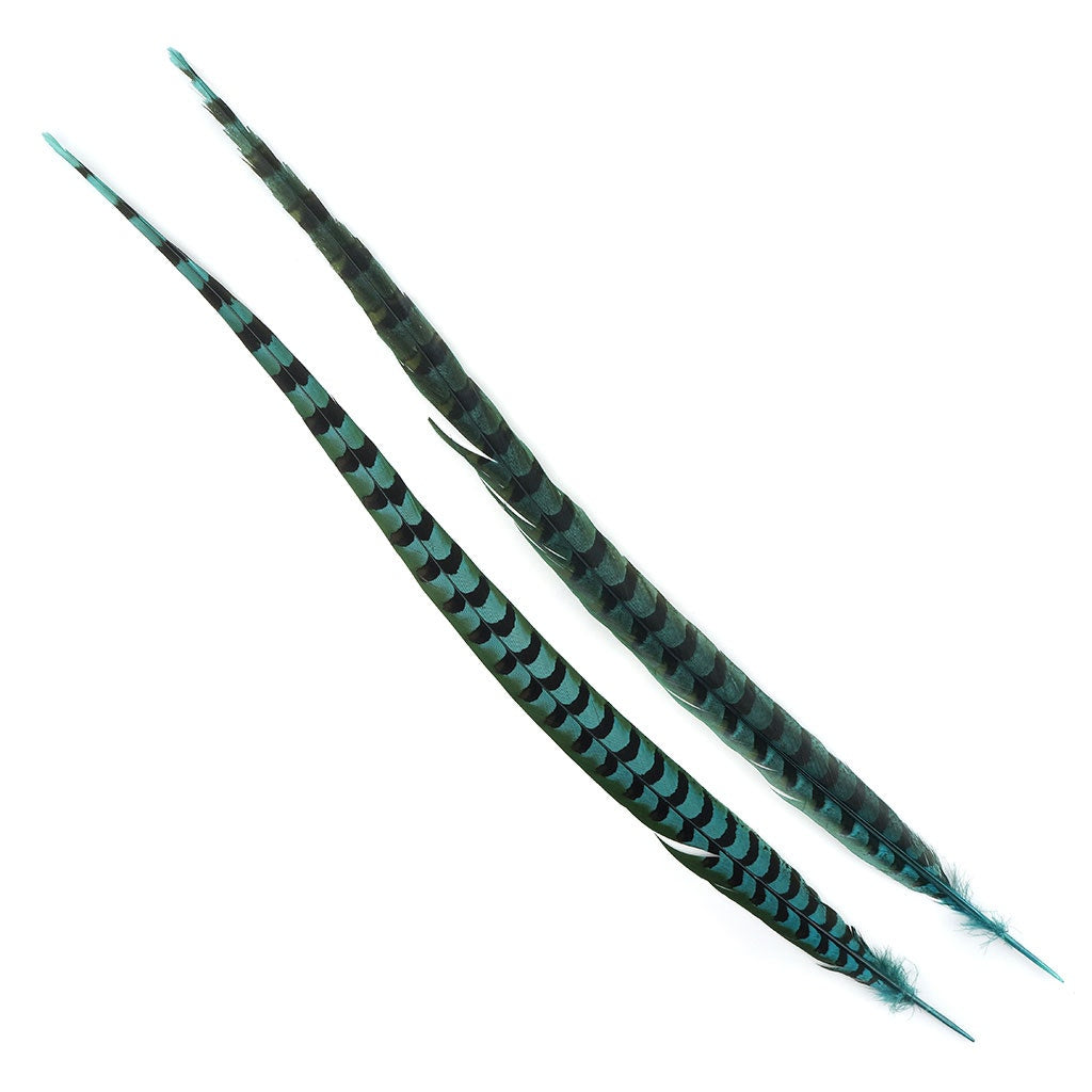 Venery Pheasant Tails - Dyed - 30 - 40" 1pc Aquamarine