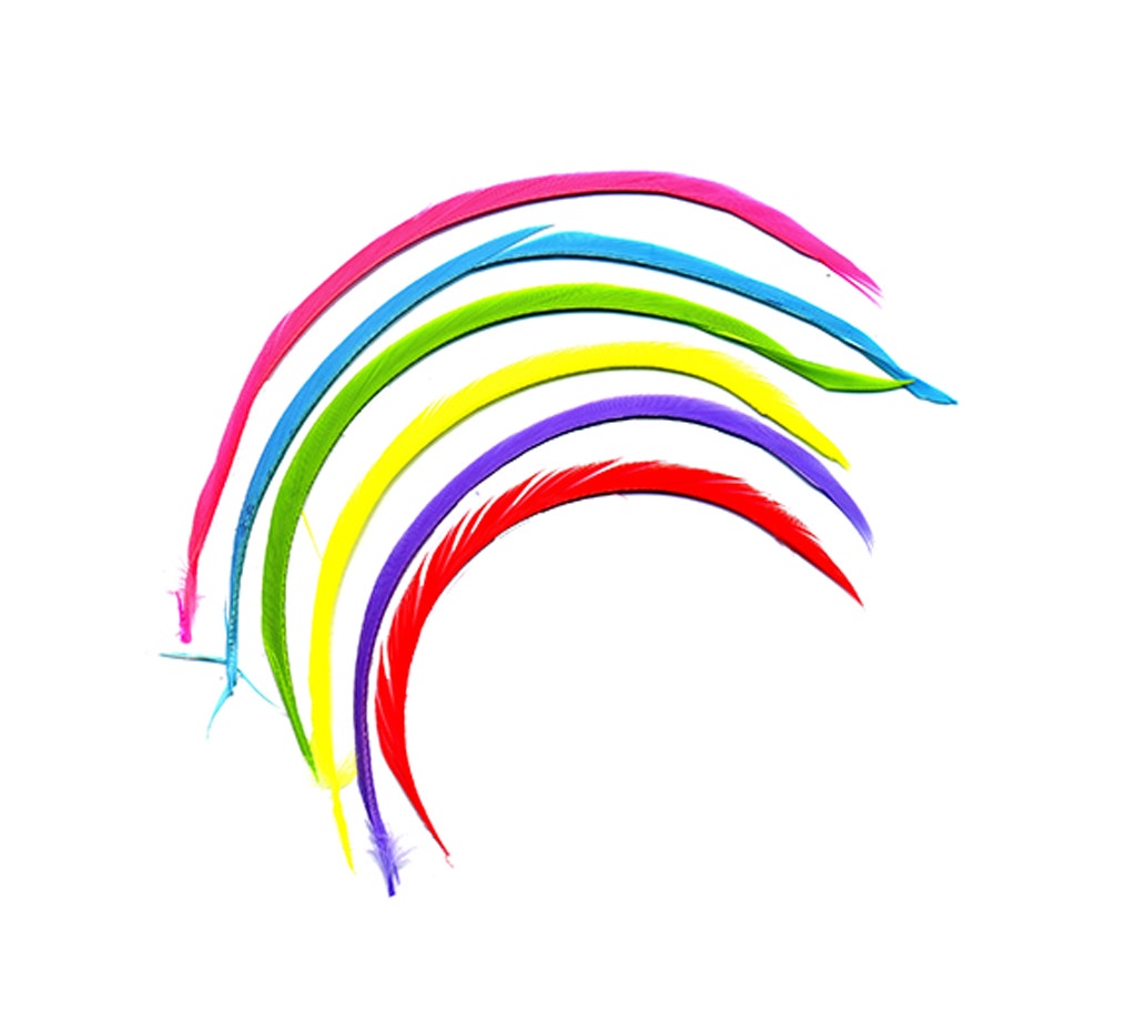 Loose Goose Biots Mix Dyed - Vivid Mix