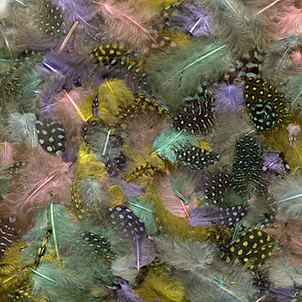 Guinea Plumage Mix Dyed - Spring Mix