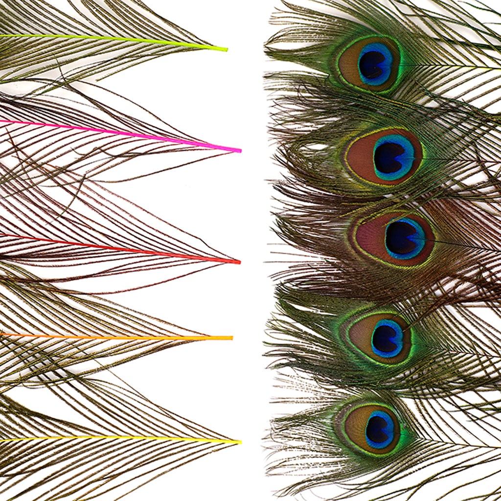 Peacock Tail Eyes Stem Dyed Mix - Neon Mix