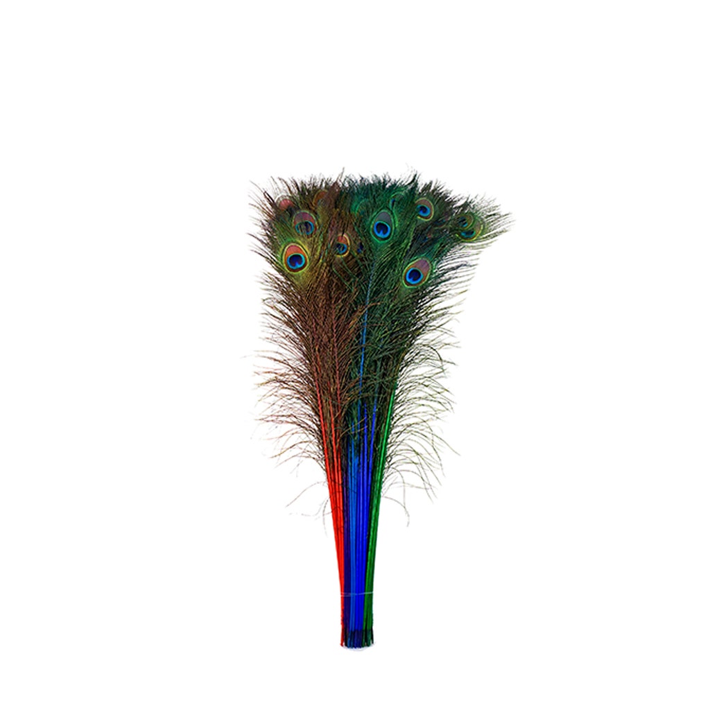 Peacock Tail Eyes Stem Dyed Mix - Jewel Mix