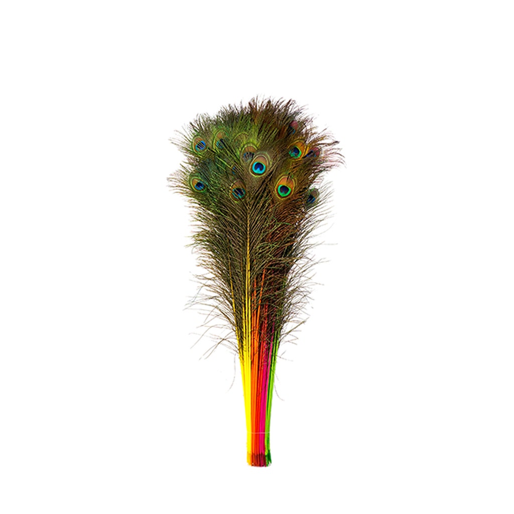 Peacock Tail Eyes Stem Dyed Mix - Neon Mix