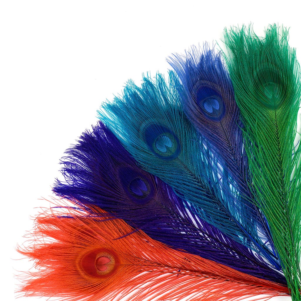 Peacock Tail Eyes Bleached and Dyed - 8-15” - 100 pc - Jewel Mix