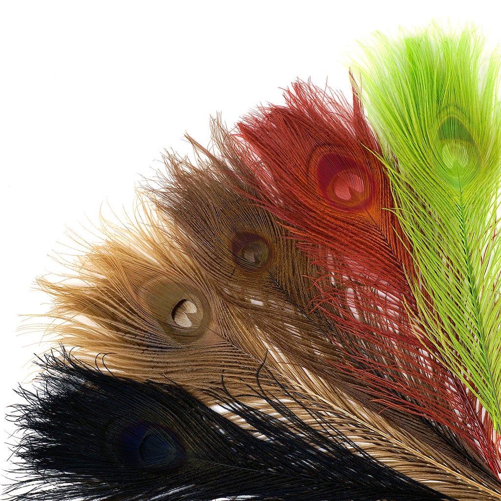 Peacock Tail Eyes Bleached - Vintage Mix - 8 - 15"