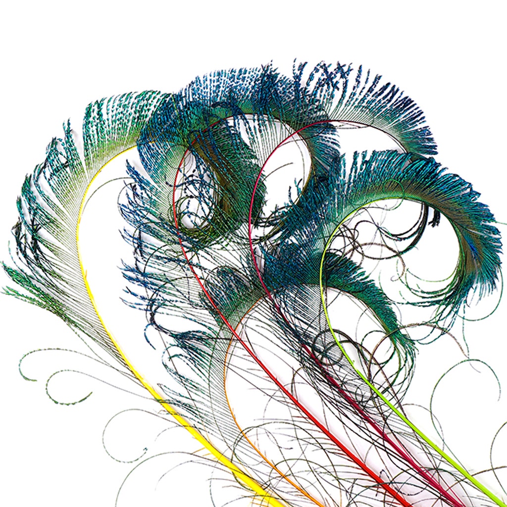 Peacock Swords Stem Mix Dyed - Neon Mix