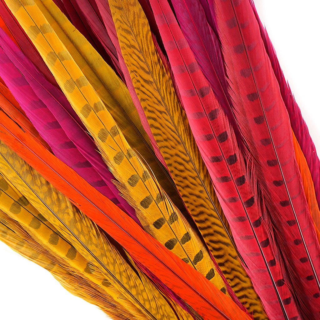 Assorted Pheasant Tails Mix Dyed - Fiesta Mix