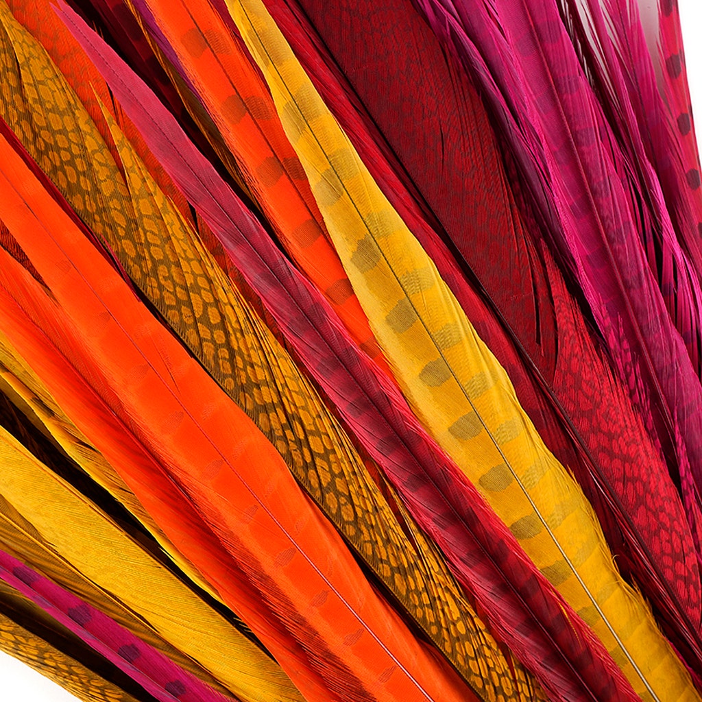 Assorted Pheasant Tails Mix Dyed - Fiesta Mix