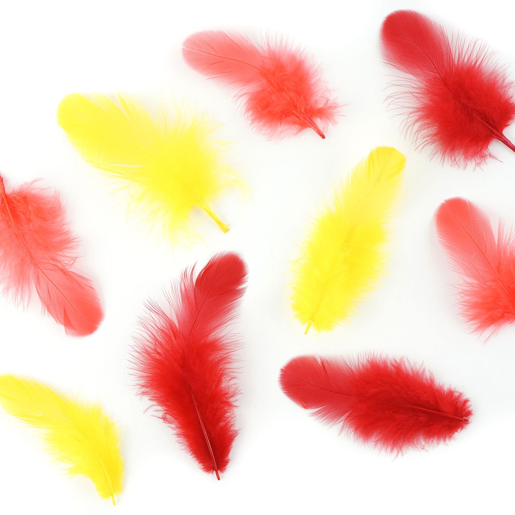 Loose Rooster Plumage Mix Dyed - FIRE
