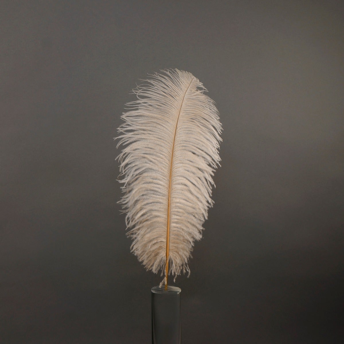 Zucker Feather - Ostrich Drabs Dyed - White