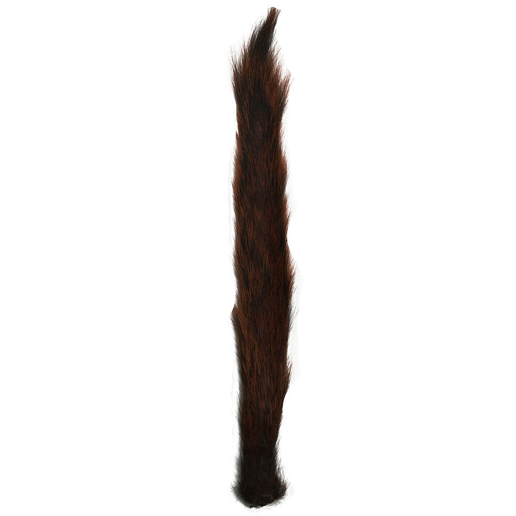 Squirrel Tails; Whole Tails - Burnt Orange Bright