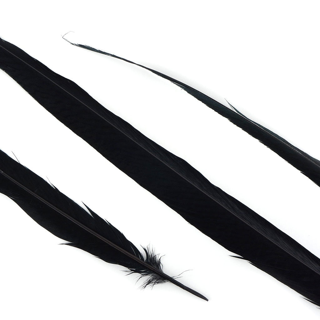 BGP30 Golden Pheasant Tails 25-30" Dyed (3 Pieces Per Package) Black