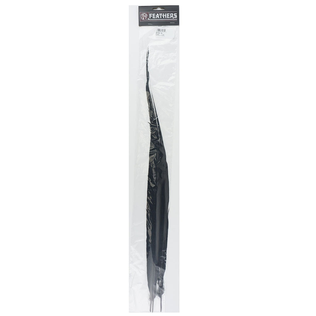 BGP30 Golden Pheasant Tails 25-30" Dyed (3 Pieces Per Package) Black