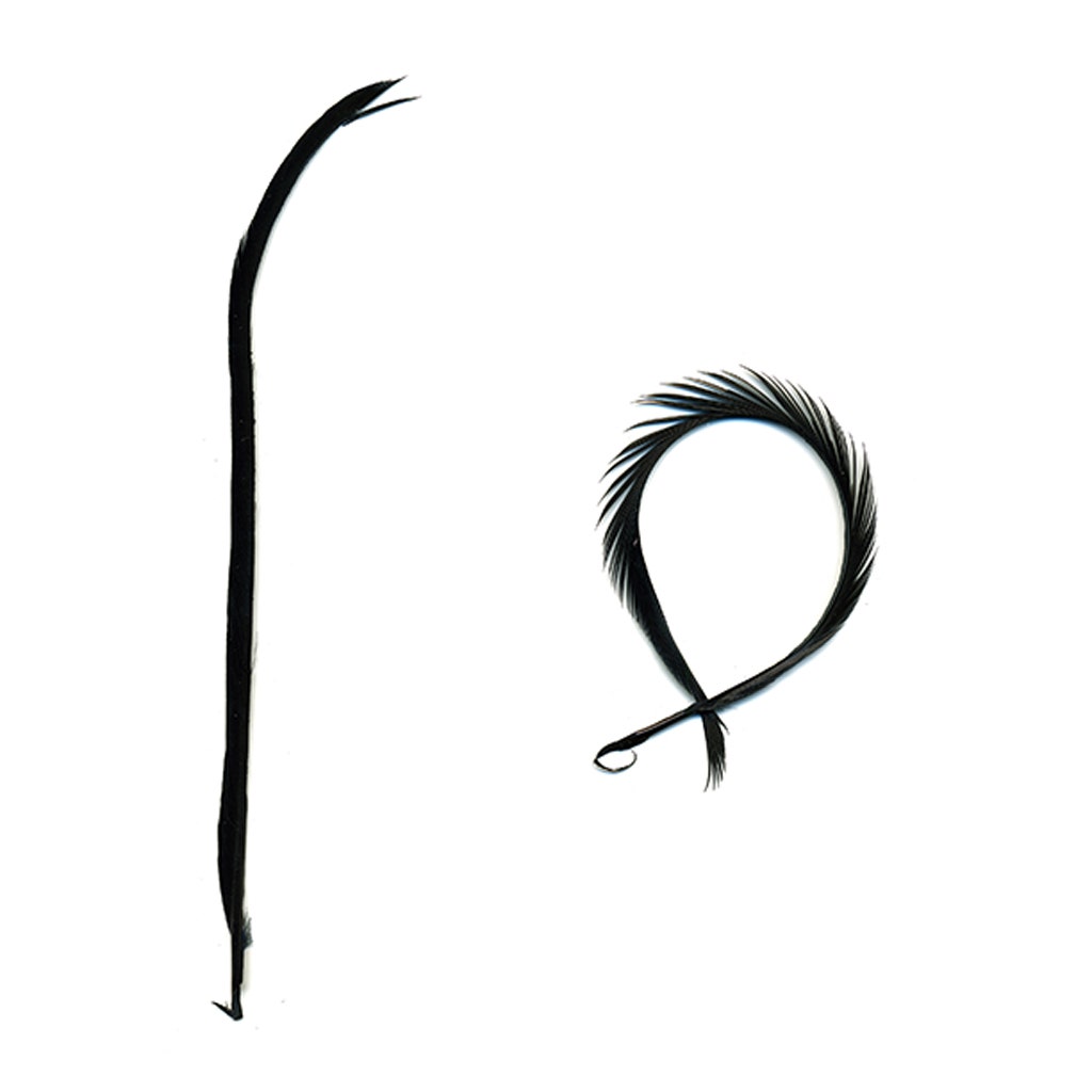 Goose Biot Feathers-Dyed - Black
