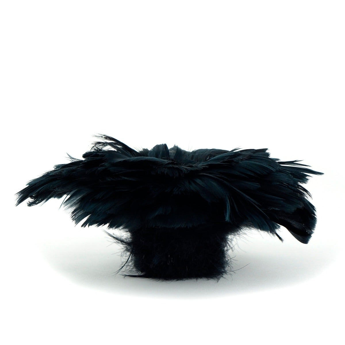 Goose Coquille Dyed Feathers - Black