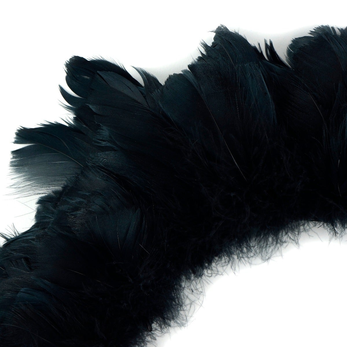 Goose Coquille Dyed Feathers - Black