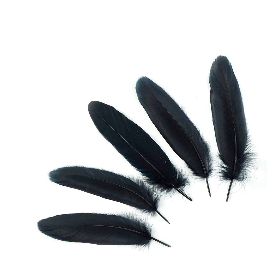 Bulk Goose Pallet Feathers 6-8 nch - 1/4 LB - Black