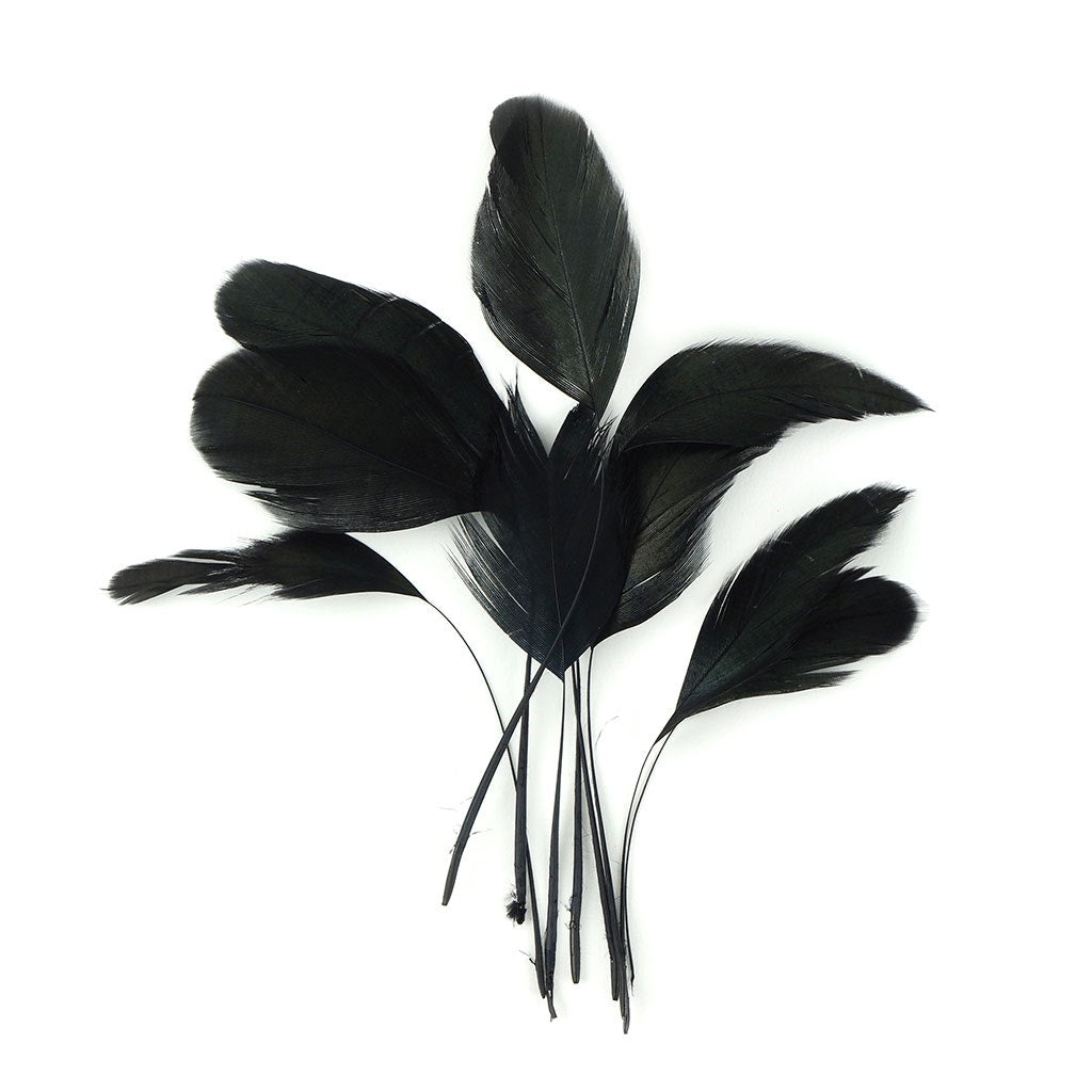 Iridescent black feather