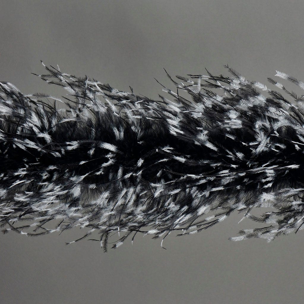 Stenciled Black/White/Black 2 Ply Ostrich Feather Boa