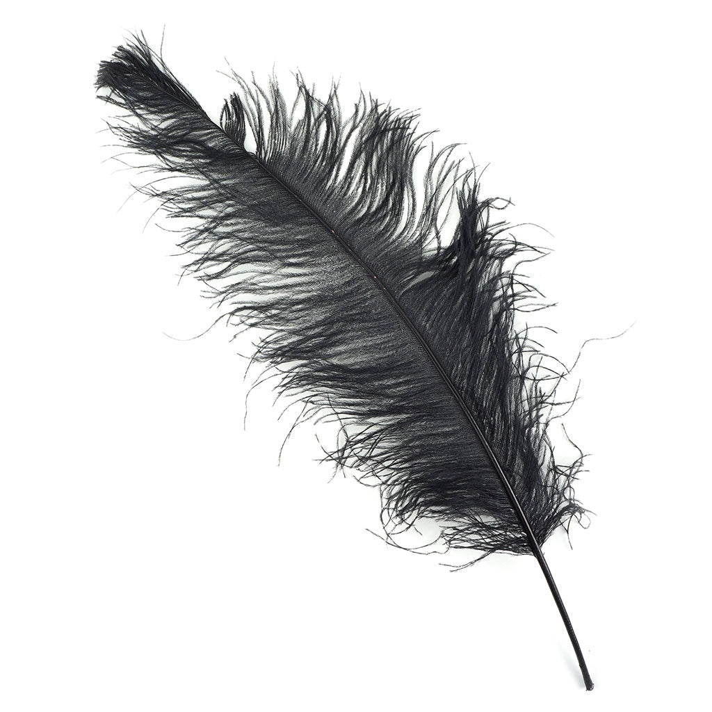 Ostrich Feathers-Spads Damaged - Ivory