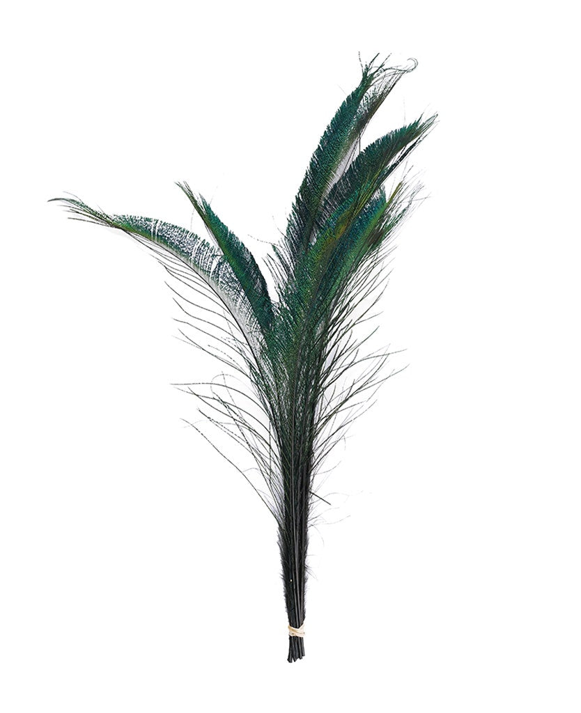 Peacock Swords Stem Dyed - Regal