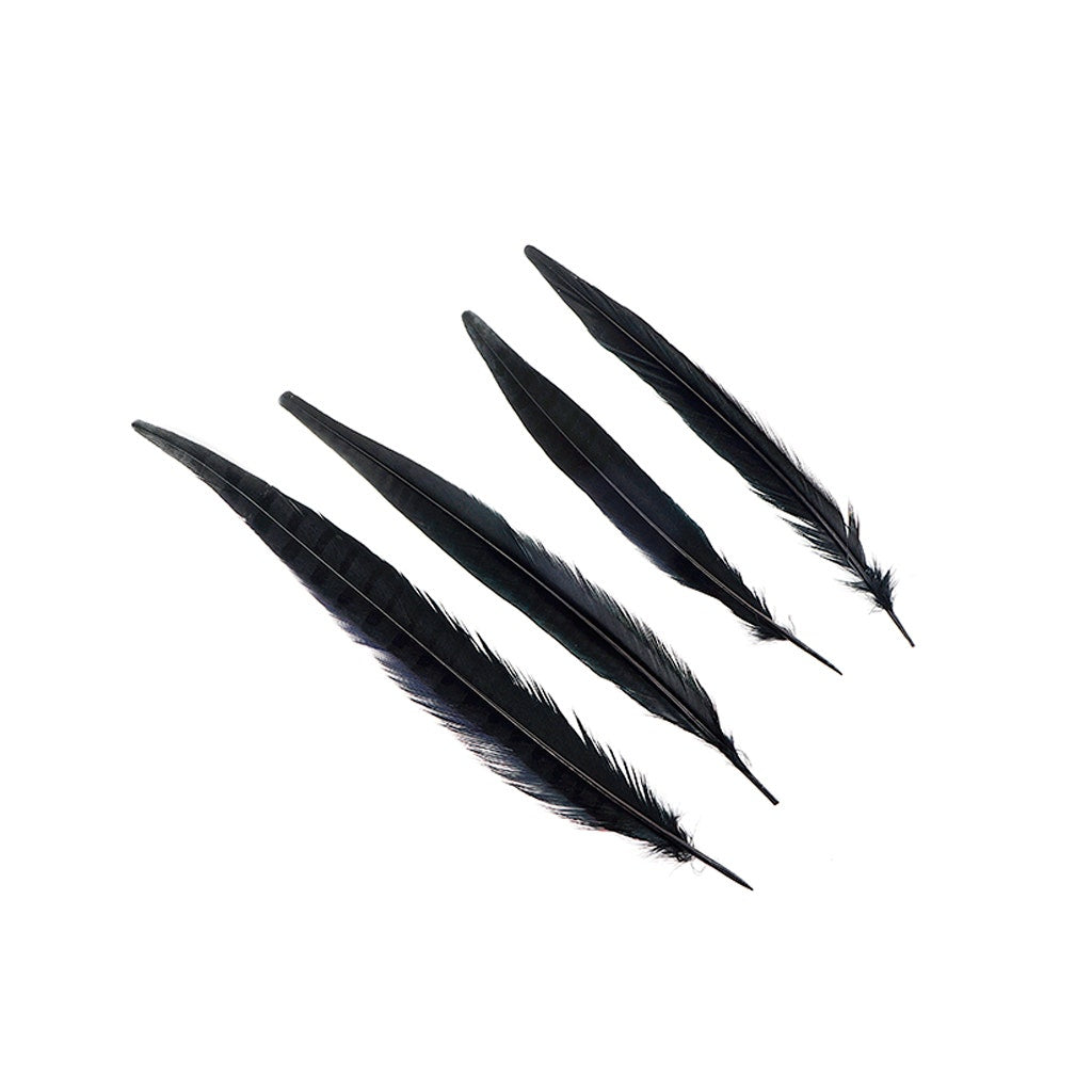 Assorted Pheasant Tails Dyed - Black