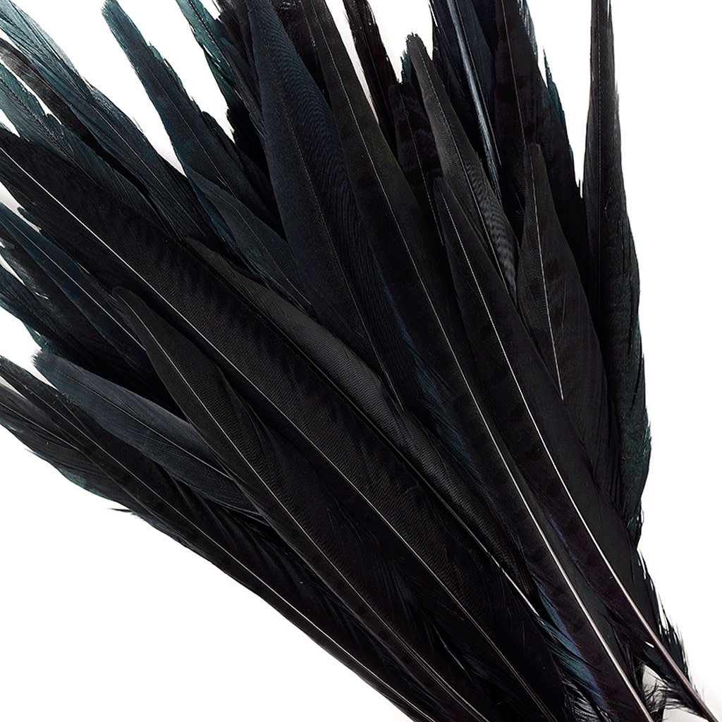 Assorted Pheasant Tails Dyed - Black