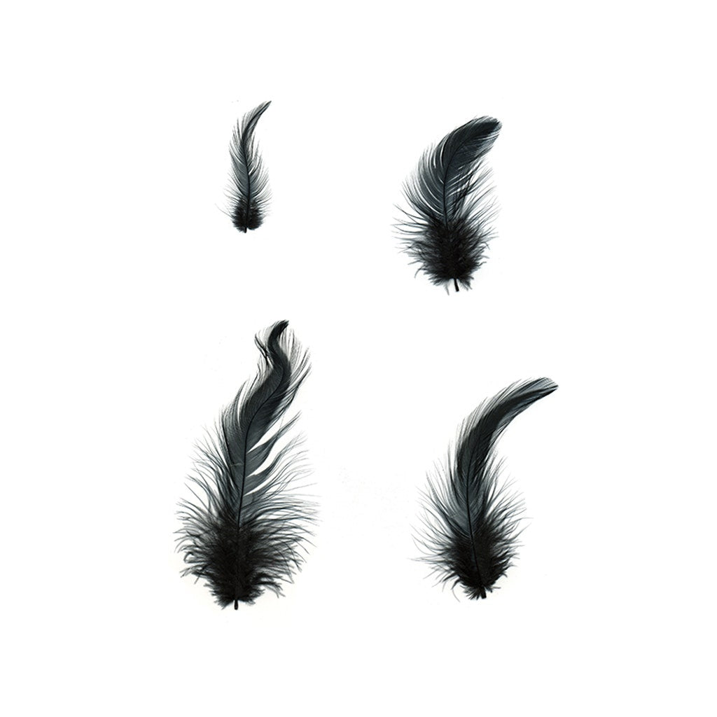 Rooster Hackle-White-Dyed - Black