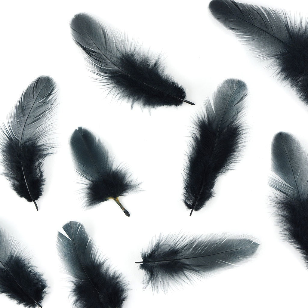 Loose Rooster Plumage Dyed - Black