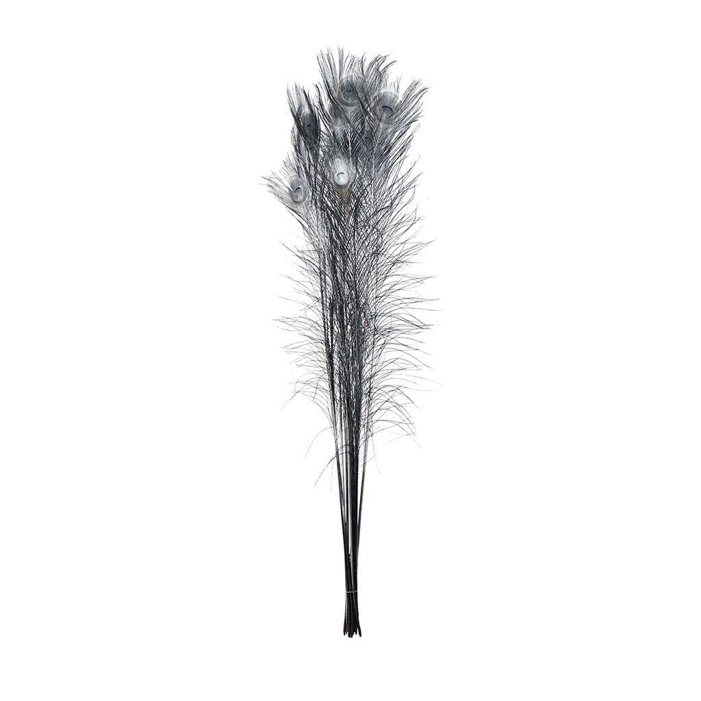 Peacock Tail Eyes Sprayed - Black/Silver Lurex - 30 - 40"