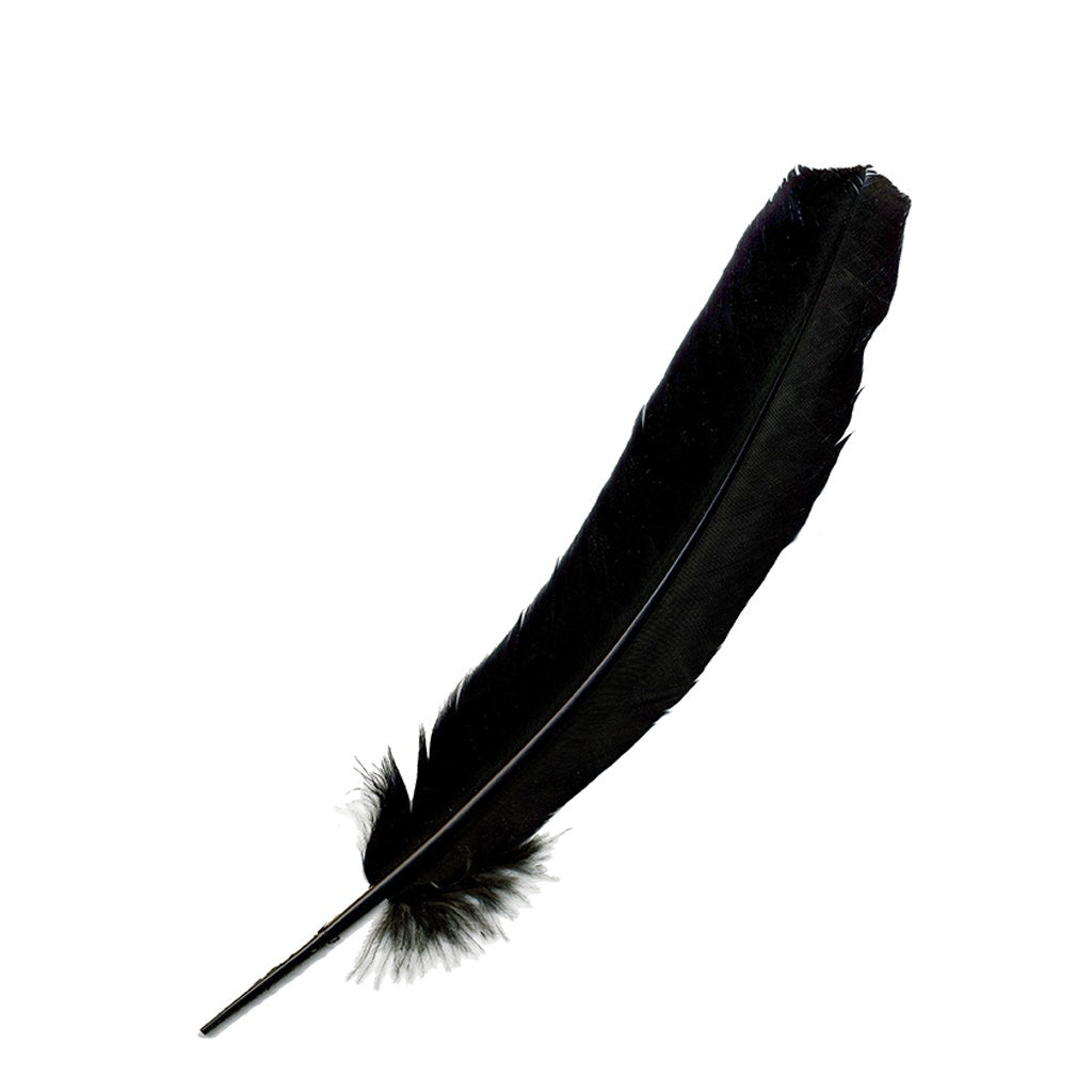 Black Turkey Feather