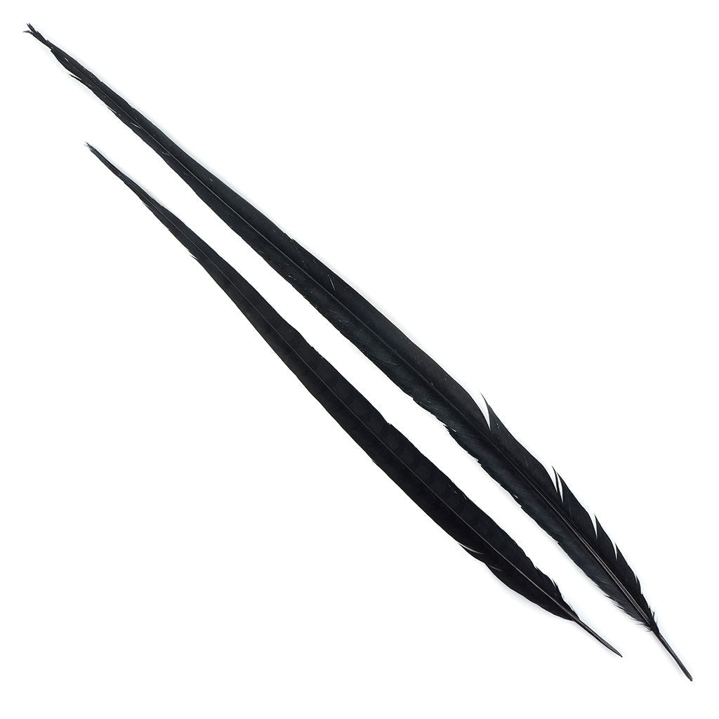 Venery Pheasant Tails - Dyed - 30 - 40" 1pc Black