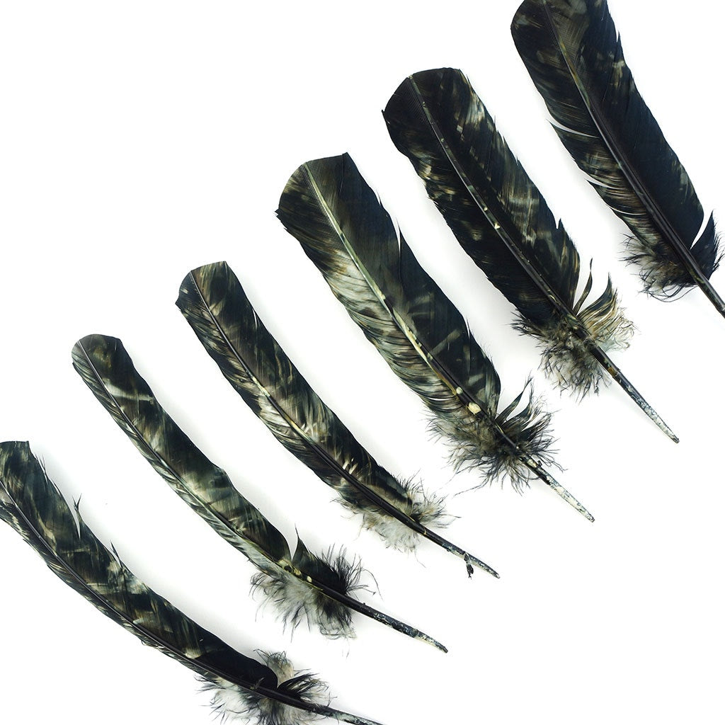 Turkey Quill Right Wing - Tie Dye Black & White