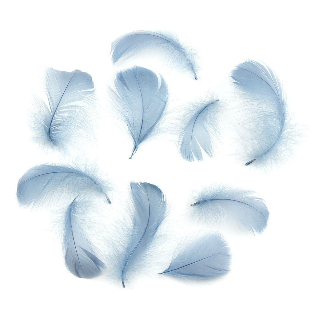 Bulk Goose Coquille Feathers Dyed - Country Blue - 1/4 lb