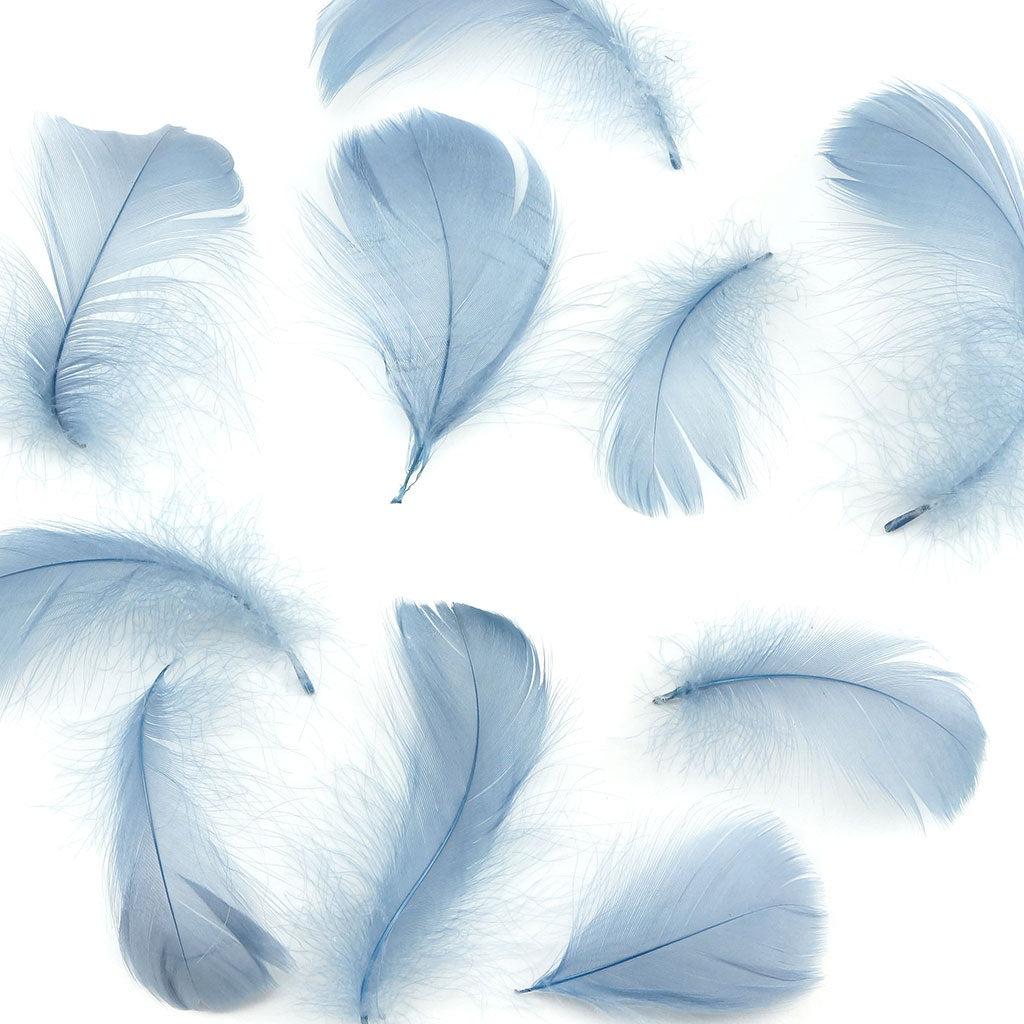 Bulk Goose Coquille Feathers Dyed - Country Blue - 1/4 lb