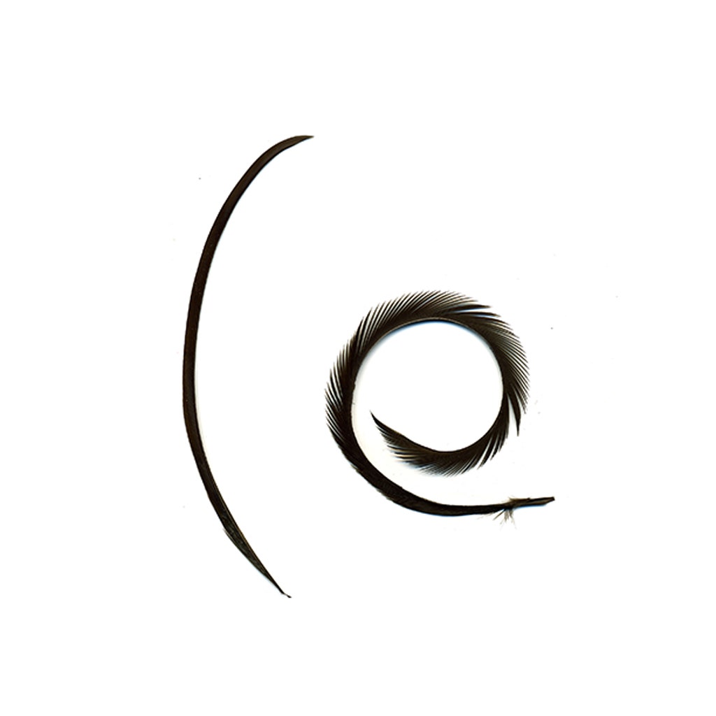 Goose Biot Feathers-Dyed - Brown