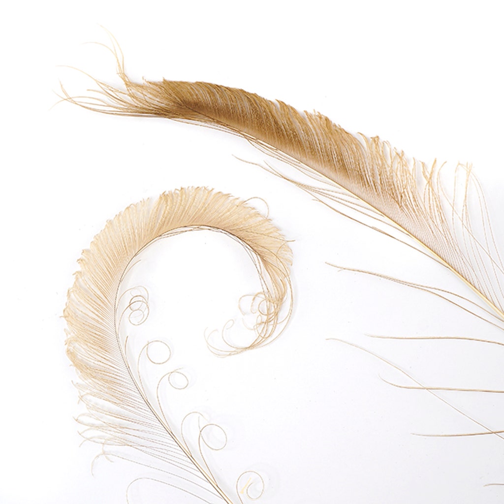 Peacock Swords Bleached/Dyed - Golden Iridescent