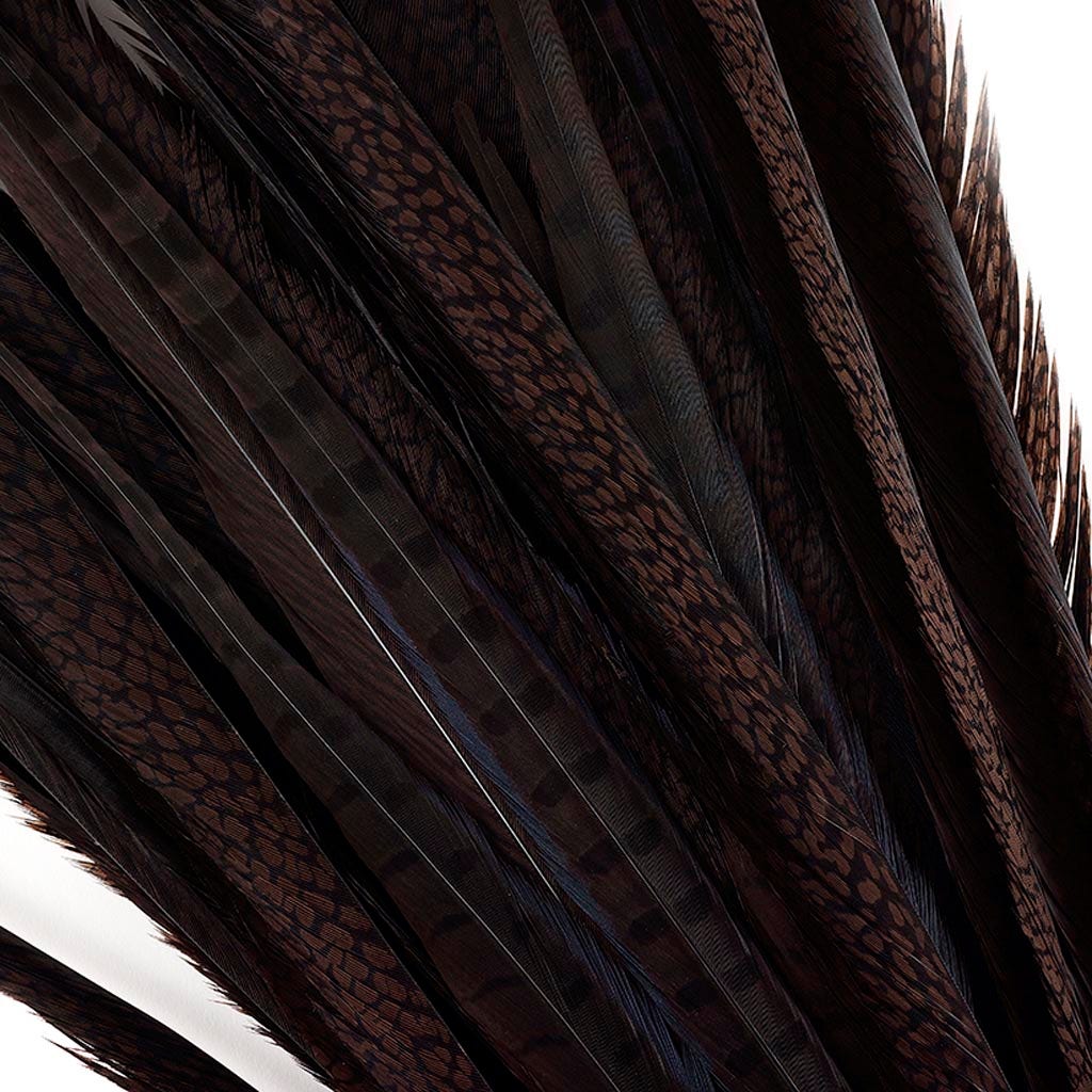 Assorted Pheasant Tails Dyed - Brown